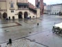 Rynek Główny