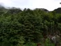 Tolminske Ravne - Planina Razor - Vogel