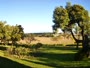 Stellenbosch - Raithby - Eikendal Vineyards