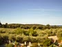 Banjole - Apartments Andrija
