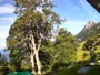 Kranjska Gora - Erjavčeva Mountain hut
