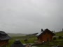 Oberharz am Brocken - Tanne