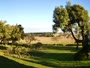 Stellenbosch - Raithby - Eikendal Vineyards