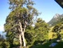 Kranjska Gora - Erjavčeva Mountain hut