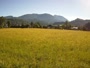 Bad Goisern am Hallstattersee - Totes Gebirge