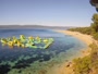 Brač - Bol - Zlatni Rat