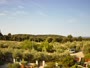 Banjole - Apartments Andrija