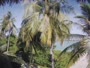 Akasdhoo - Hard Rock Hotel Maldives