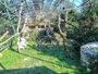 Zagreb - Zoo - Griffon vultures