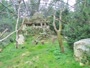 Zagreb - Zoo - Griffon vultures