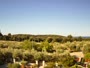 Banjole - Apartments Andrija