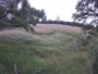 Hofgeismar - Sababurg Zoo - Żubry