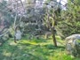 Zagreb - Zoo - Griffon vultures