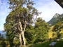 Kranjska Gora - Erjavčeva Mountain hut