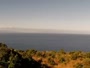 Joppolo - Coccorino