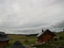Oberharz am Brocken - Tanne