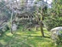 Zagabria - Zoo - avvoltoi grifoni