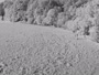 Medvode - Bonovec