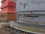 Pszczoły