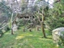 Zagrzeb - Zoo - Sępy płowe