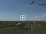 Gols - Vineyard