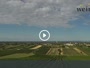 Gols - Vineyard