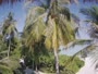 Akasdhoo - Hard Rock Hotel Maldives