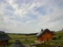 Oberharz am Brocken - Tanne
