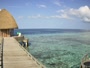 Raa Atoll - Emerald Faarufushi Resort & SPA