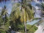 Akasdhoo - Hard Rock Hotel Maldives