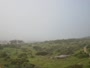 Langebaan - Shark Bay