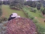 Strzelce - Storks