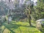 Zagreb - Zoo - Vautours fauves