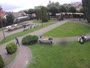 Park Miejski