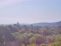 Corsica - San-Gavino-di-Carbini
