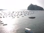 Ischia - Ischia Ponte - Aragonese Castle, La Mandra Beach