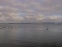 Plouézec - Port Lazo