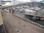 Fenit - Marina