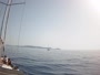 Kreta - Heraklion - Port Wenecki
