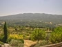 Saint-Martin-de-Castillon - Grand Luberon