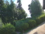Plau am See - Plau Lagoons