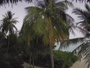 Akasdhoo - Hard Rock Hotel Maldives