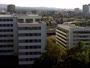 Zagabria - Incrocio stradale - Avenija Marina Držića, Slavonska avenija