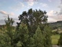 Michalczowa - Weather station