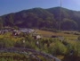 Gutach - Singersbach - Sommerrodelbahn Gutach