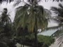 Akasdhoo - Hard Rock Hotel Maldives