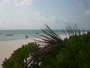 Zanzibar - Jambiani Beach