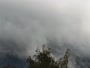 Sofros sveikatos institutas - Snežka