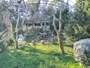 Zagrebas - Zoologijos sodas - Grifai