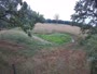 Hofgeismar - Sababurg Zoo - Żubry